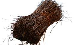Włókno palmyra (bassina)